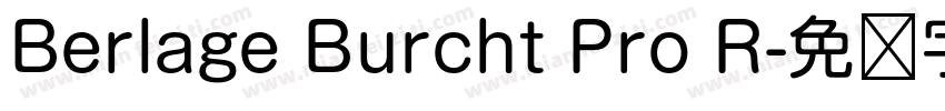 Berlage Burcht Pro R字体转换